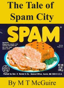 The Tale of Spam City
