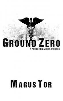 Ground Zero: Prequel to Numbered Series