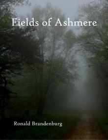 Fields of Ashmere