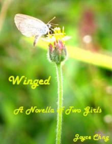 Winged: A Novella (Of Two Girls)