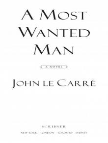 A Most Wanted Man