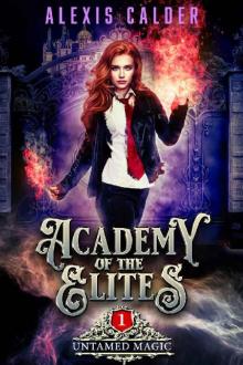 Academy of the Elites: Untamed Magic