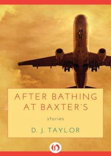 After Bathing at Baxters: Stories