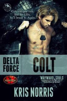 Delta Force: Colt: Brotherhood Protectors World/Wayward Souls Crossover