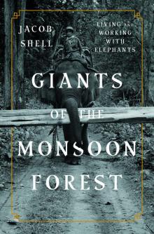 Giants of the Monsoon Forest