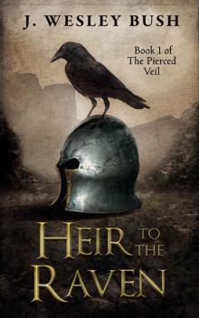 Heir to the Raven (The Pierced Veil, #1)