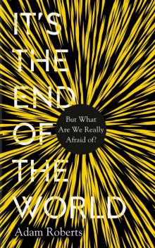 It's the End of the World : But What Are We Really Afraid Of? (9781783964758)