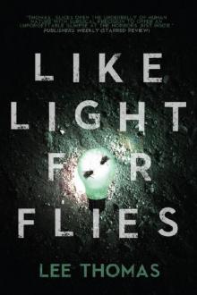 Like Light for Flies