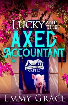 Lucky and the Axed Accountant