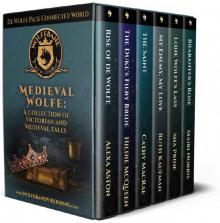 Medieval Wolfe Boxed Set: A De Wolfe Connected World Collection of Victorian and Medieval Tales