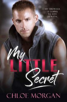 My Little Secret: A Brother's BFF Secret Baby Novel