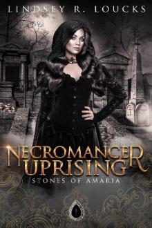 Necromancer Uprising: Book 4