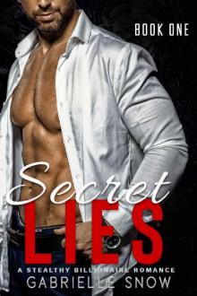 Secret Lies: A Stealthy Billionaire Romance (Secret Series Book 1)