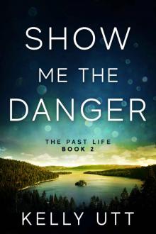 Show Me the Danger: The Past Life - Book 2