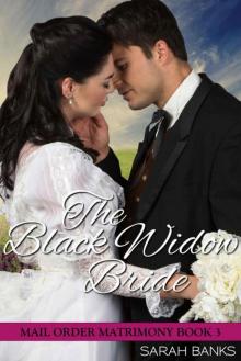 The Black Widow Bride (Mail Order Matrimony Book 3)