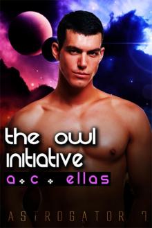 The Owl Initiative