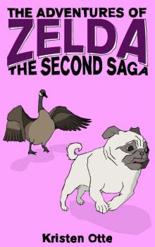 The Second Saga: The Adventures of Zelda, #2