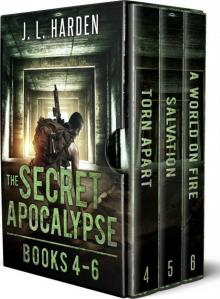 The Secret Apocalypse: Box Set 2