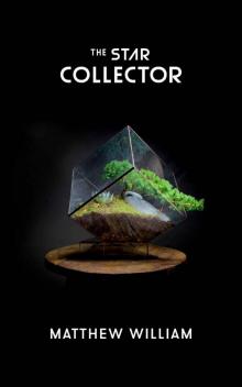 The Star Collector