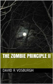 The Zombie Principle II