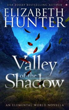 Valley of the Shadow: An Elemental World Novella