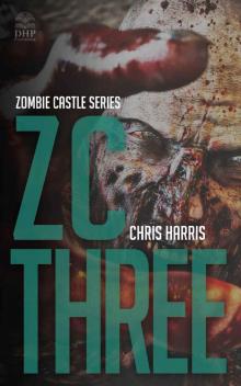 Zombie Castle Series (Book 3): ZC Three