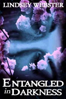 Entangled in Darkness