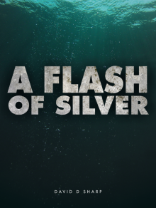 A Flash of Silver