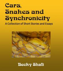 Cars, Snakes and Synchronicity