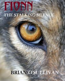 Fionn: The Stalking Silence