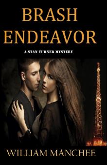 Brash Endeavor, A Stan Turner Mystery Vol 3