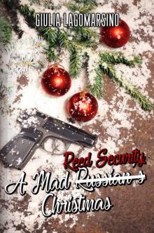 A Mad Reed Security Christmas