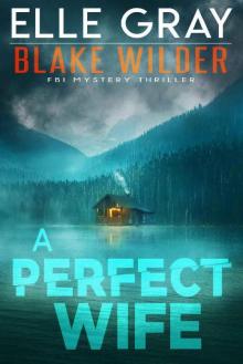 A Perfect Wife (Blake Wilder FBI Mystery Thriller Book 2)