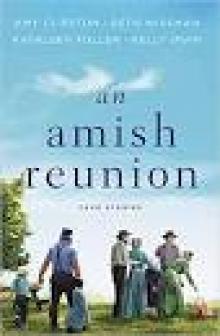 A Reunion 0f Hearts (An Amish Reunion Story Book 2)