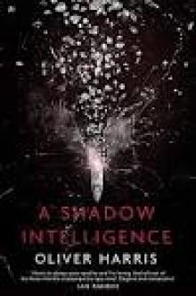 A Shadow Intelligence