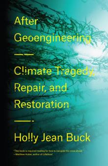 After Geoengineering