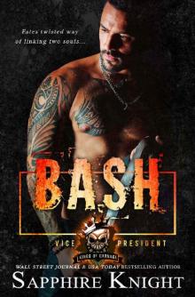 Bash: Kings of Carnage MC VP