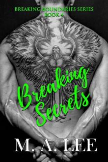 Breaking Secrets: Book 4 in the Breaking Boundaries Series