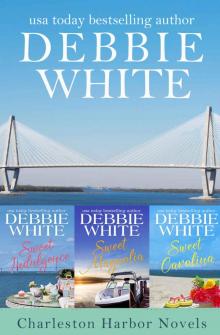 Charleston Harbor Novels 1-3