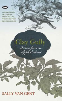 Clay Gully