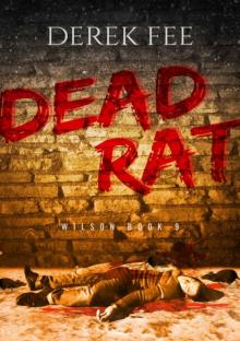 Dead Rat