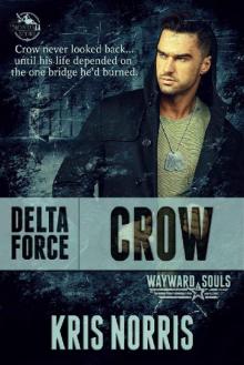 Delta Force: Crow (Wayward Souls)