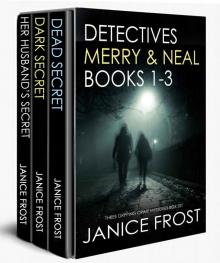 Detectives Merry & Neal Books 1-3