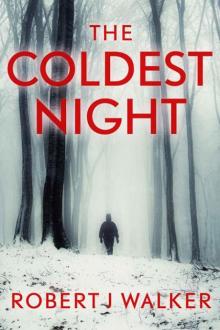 EMP Survival In A Powerless World | Book 22 | The Coldest Night