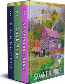 Ettie Smith Amish Mysteries Box Set 1