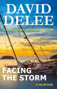 Facing the Storm (Brice Bannon Seacoast Adventure Book 1)