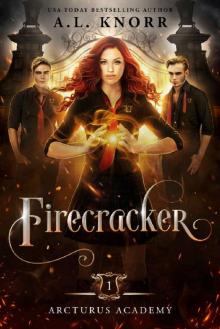 Firecracker: A Young Adult Fantasy (Arcturus Academy Book 1)
