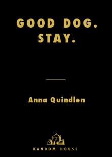 Good Dog. Stay.