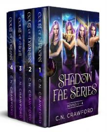 Institute of the Shadow Fae Box Set