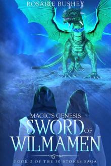 Magic's Genesis- Sword of Wilmamen